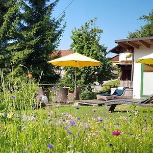 Bio Appartement Resort